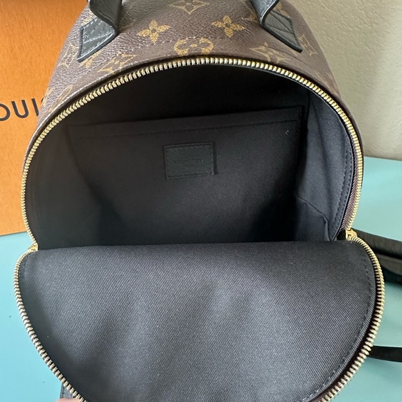 Louis Vuitton Palm Springs PM Monogram backpack - Picture 2 of 12